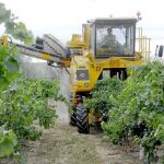 Un agricultor trabaja en su producción con un tractor