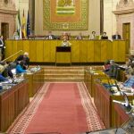 El Parlamento consideró «ofensivas, denigrantes y falsas» las palabras del portavoz de CiU en el Congreso