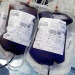 Cuatro litros de sangre y 30 minutos para vestirse