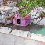 El cadáver apareció semienterrado en el patio de una casa baja del Paseo de la Dirección