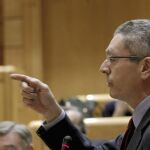 El ministro de Justicia, Alberto Ruiz Gallardón, durante su intervención hoy en la sesión de control al Gobierno del pleno del Senado