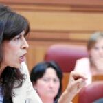 La viceportavoz del Grupo Socialista, Ana Redondo, en una actitud muy reivindicativa en uno de los últimos plenos de las Cortes regionales