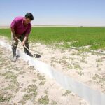 Agricultura diseña cuatro comisiones para establecer una alternativa regional a la PAC