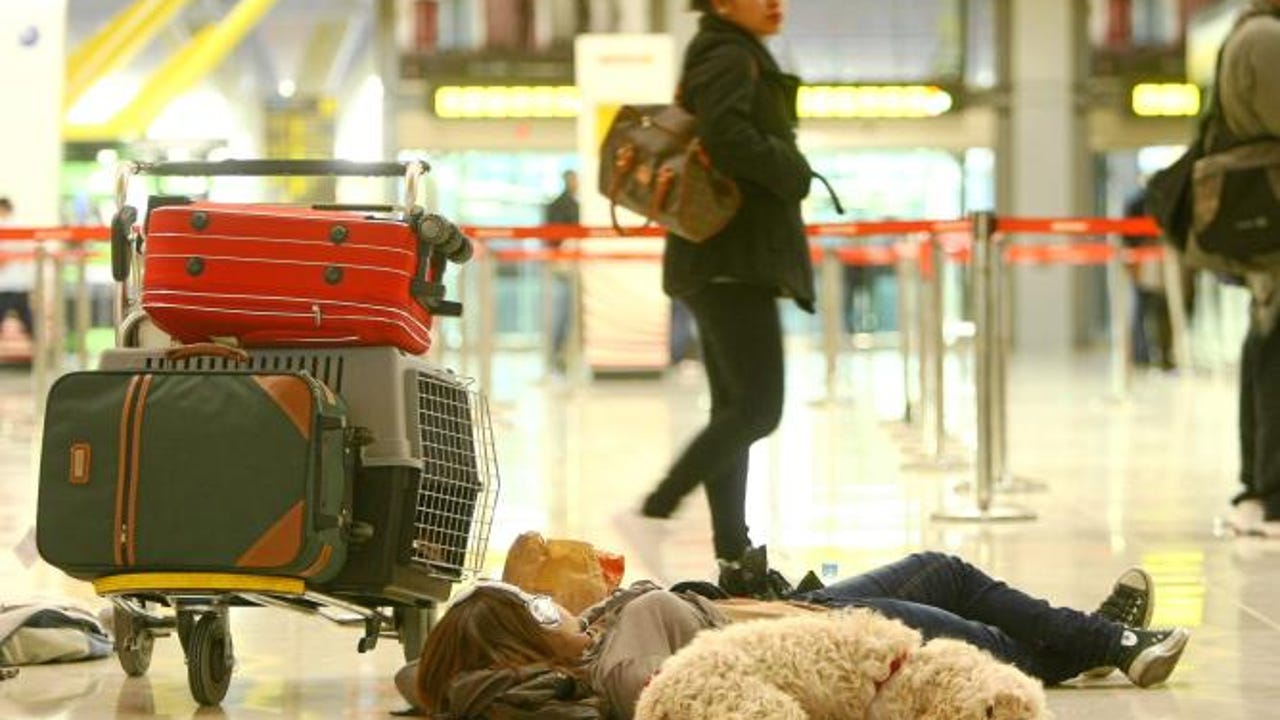 El invento de dos madrileños que pone fin al mayor quebradero de cabeza de los dueños de mascotas