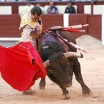 Iván Fandiño sin tregua en el camino