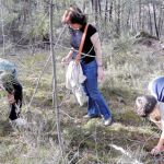 Varias personas recogen setas en la provincia de Soria