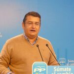 Sanz anunció ayer que su formación va a trasladar a la juez Mercedes Alaya toda la documentación sobre las ayudas a empresas