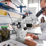 Más de 2000 alumnos se benefician de su formación «on line» a la última