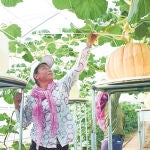 Semillas espaciales: China manda simiente al espacio para crear «súper verduras» en la Tierra