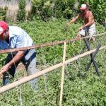 Los agricultores murcianos están preocupados por la nueva reforma de la PAC