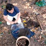 Jardines más vivos
