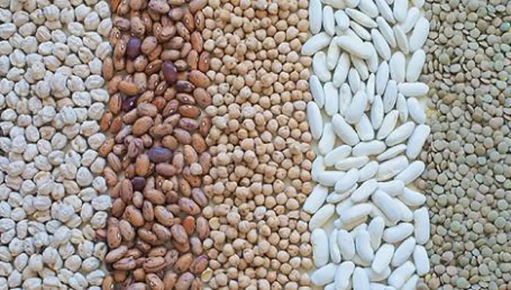 Legumbres alimento estrella