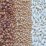 Legumbres alimento estrella 