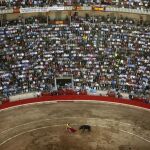 José Tomás torea a su primer toro hoy en Barcelona