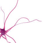 Tratamientos prometedores para esclerosis múltiple