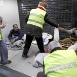La ONG más pequeña de Cataluña reparte más de 2000 kits a indigentes