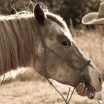 Natalia Estrada: La mujer que susurraba a los caballos