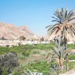 Uno de los emblemáticos rincones de la Huerta de Murcia