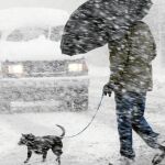 Virus y depresión por el frío siberiano