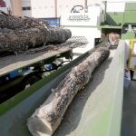 La Feria de Valladolid será testigo de la séptima edición de Bioenergía