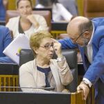 La consejera Martínez Aguayo, junto al diputado de IU Ignacio García, estuvo comedida en sus críticas al Gobierno central