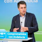 El portavoz parlamentario del PP-A, Carlos Rojas