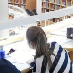 Los estudiantes hacen de las bibliotecas sus centros de estudio en épocas de exámenes para intentar conseguir el objetivo marcado: obtener las mejores calificaciones posibles