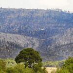 Zona afectada por el incendio en el municipio de La Torre de les Maçanes (Alicante)
