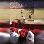 Activistas antitaurinos interrumpen una corrida en Pamplona