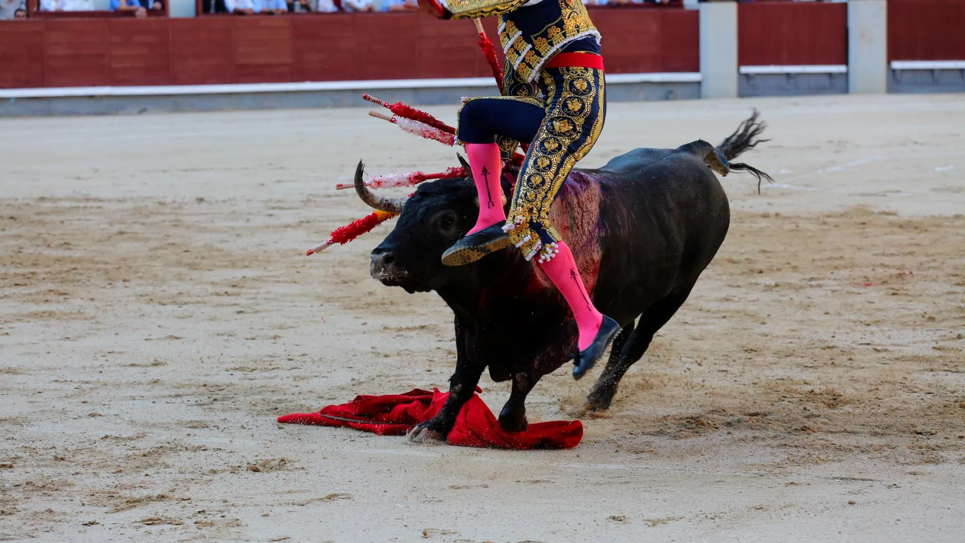 Macías es cogido por el primero, de Pallarés (Fotos: Cipriano Pastrano)