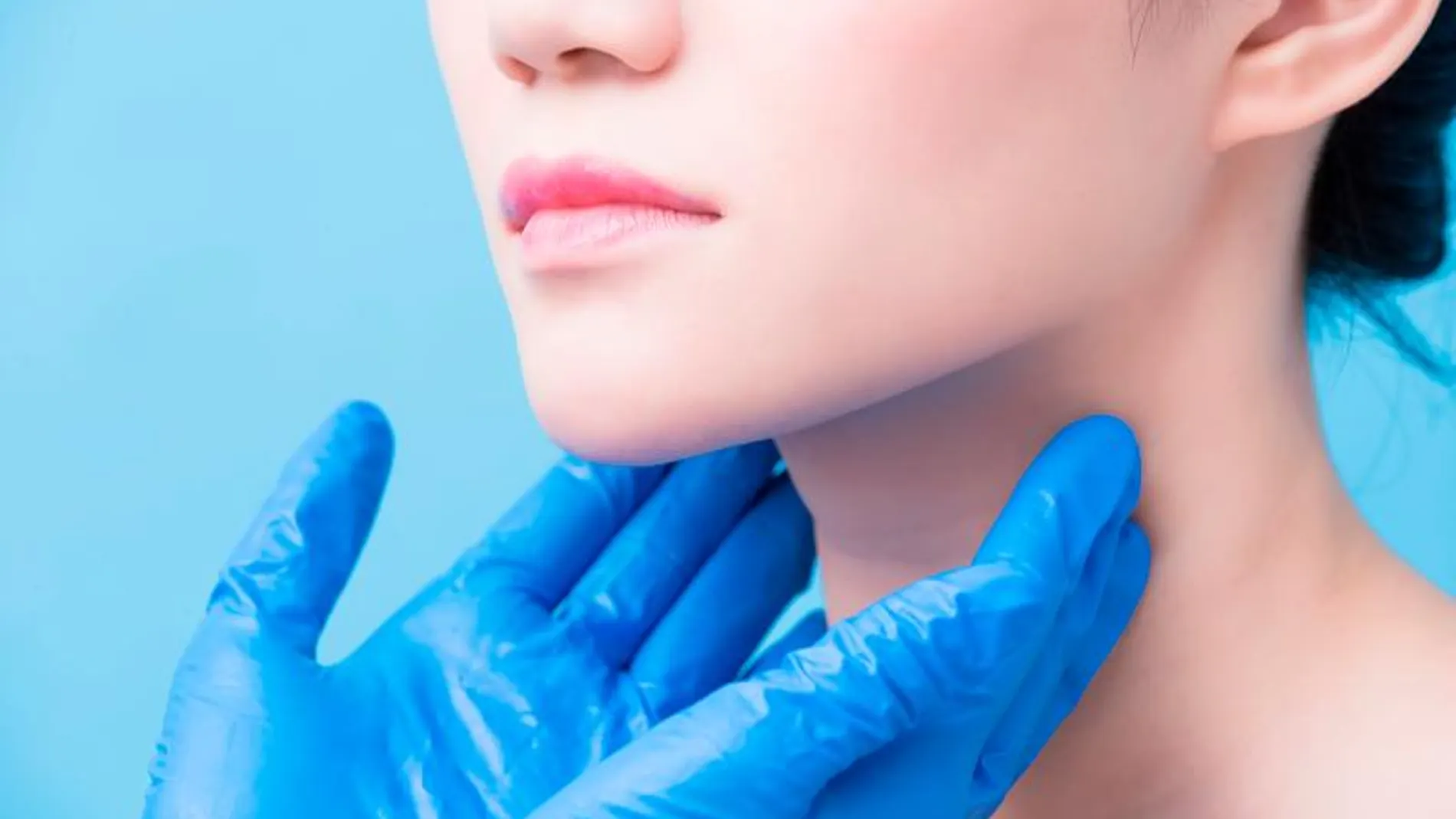 La glándula tiroidea produce hormonas que regulan el metabolismo y la liberación de la energía / Dreamstime