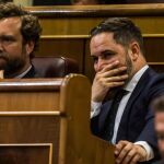 El portavoz de Vox en el Congreso