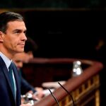 Pedro Sánchez, en una imagen de archivo / Efe