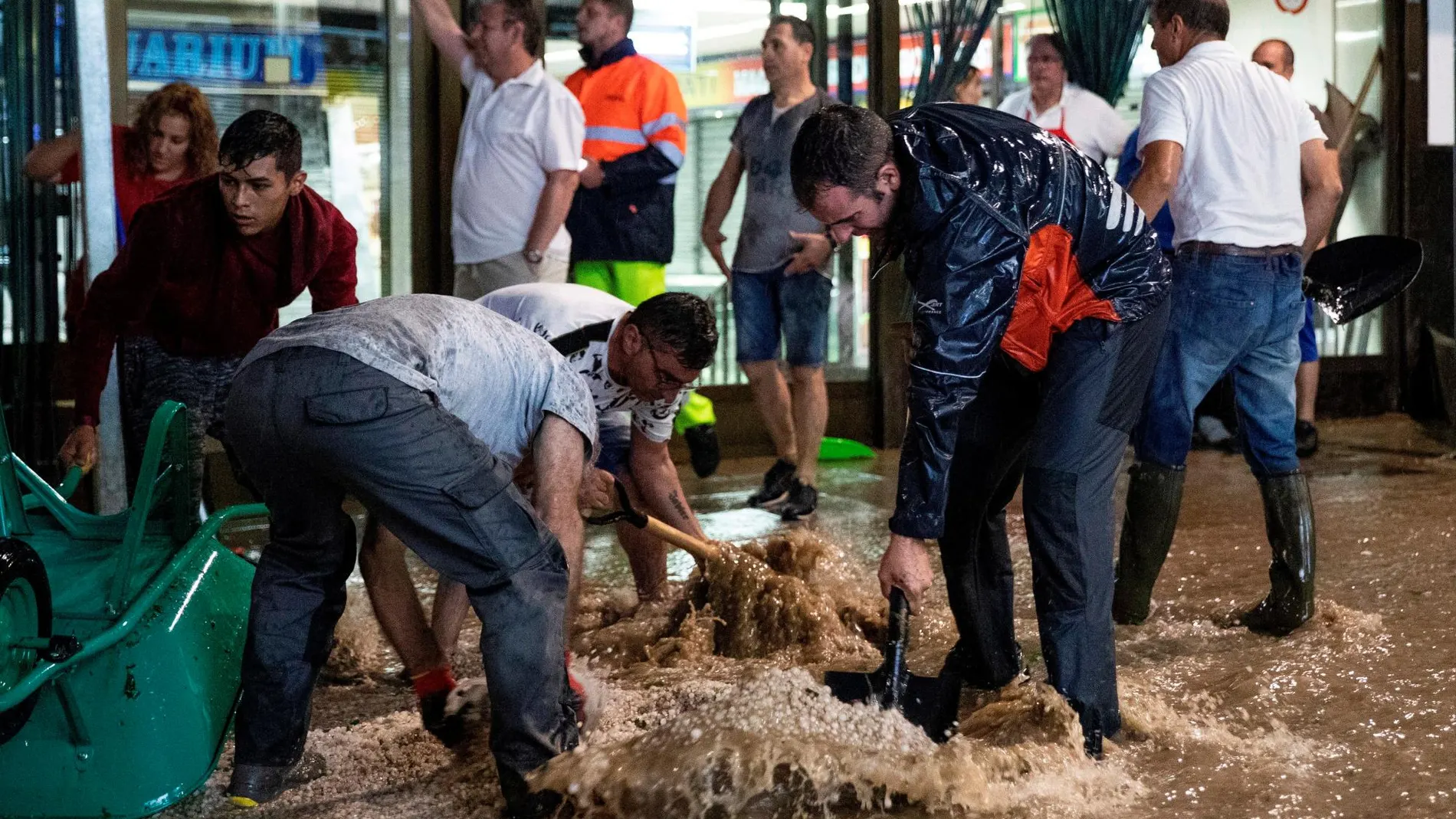 El miembro fue localizado por unos niños en una laguna