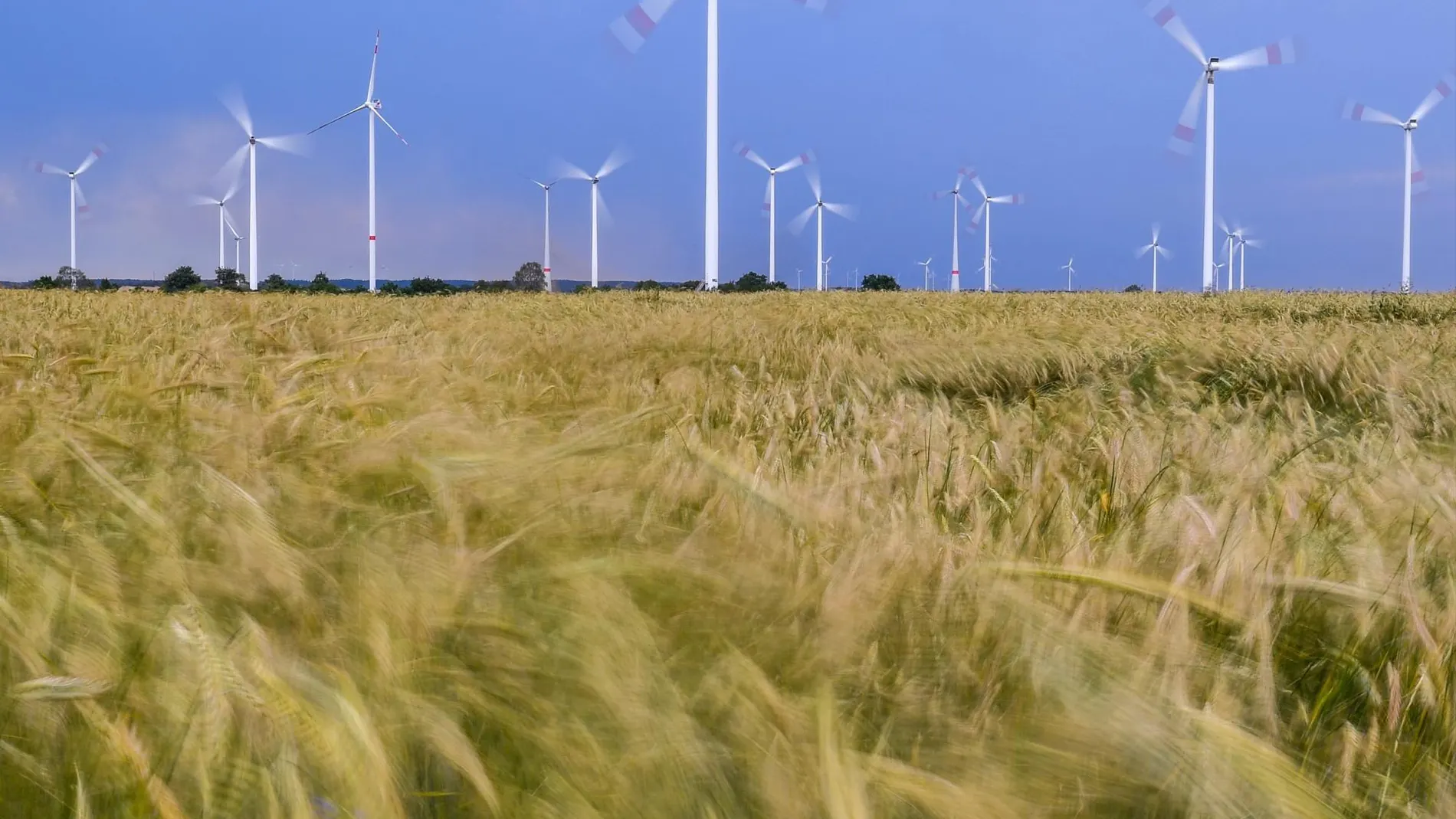 Hay 1.123 parques en España. Eso hace un total de más de 20.000 molinos de viento