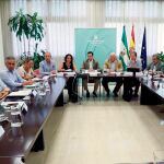 El presidente de la Junta, Juanma Moreno, asistió ayer a la reunión del gabinete se seguimiento junto al consejero de Salud, Jesús Aguirre