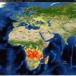 Siberia, el Chernobyl de los bosques