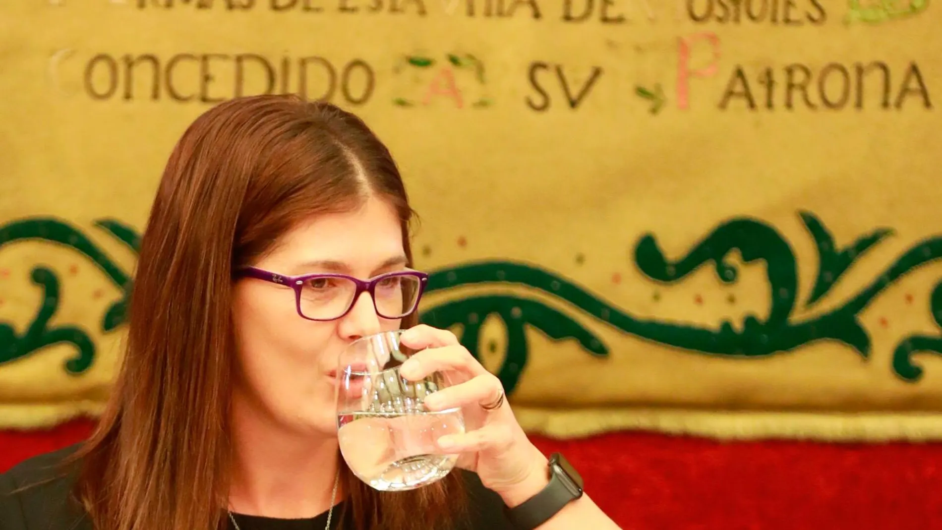 Noelia Posse, en el pleno de hoy