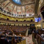 Debate de Investidura en el Congreso de los Diputados (Foto: Alberto R. Roldan)