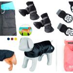 La ropa que necesita tu perro