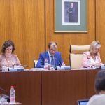 El director de la RTVA, Juande Mellado, compareció este miércoles en Comisión parlamentaria /Foto: La Razón