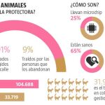 El abandono no es una opción