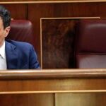 Pedro Sánchez, en una imagen de archivo en el Congreso de los Diputados / Efe