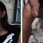 Imagenes de la mujer en su agresión al perro