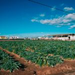 Se observa también que las zonas húmedas se han reducido un 17 por ciento por ciento y las superficies de agua han crecido un ocho