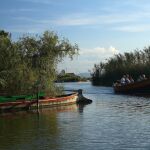 Paraje de la Albufera de Valencia.