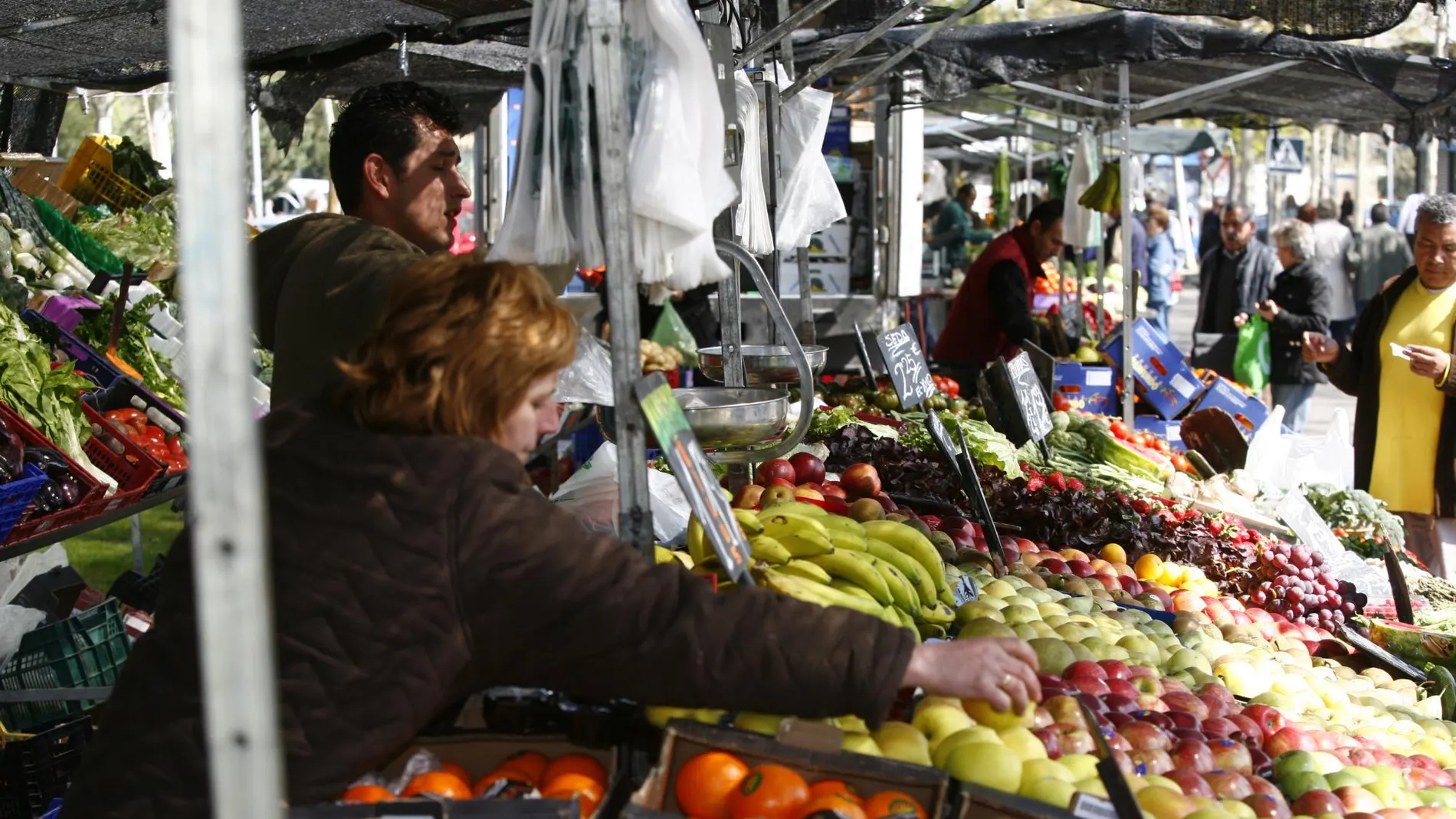 Trabajadores autónomos de Castilla y León