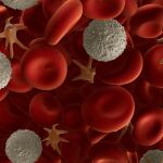 Representación tridimensional de los componentes de la sangre