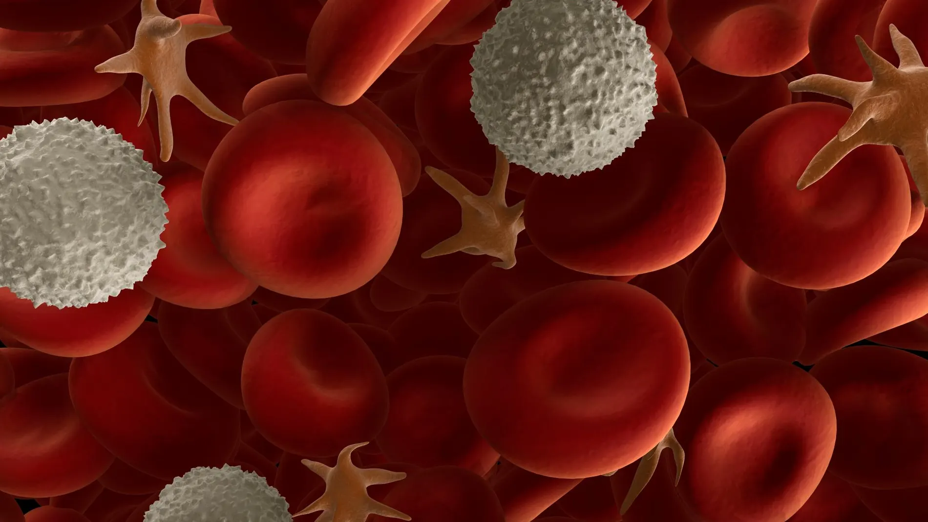 Representación tridimensional de los componentes de la sangre