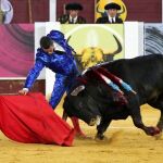 El diestro José María Manzanares da un pase al cuarto de la tarde, este lunes durante el festejo celebrado en la plaza de La Malagueta, en el que compartió cartel con los matadores Julián López "El Juli"y David de Miranda / Foto: Efe